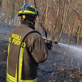Ancora un incendio nei boschi: vigili del fuoco a Samarate. FOTO