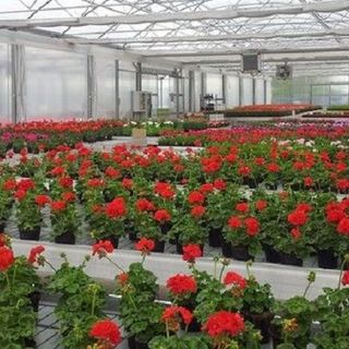 Florovivaismo, al via finanziamenti per parchi storici e giardini