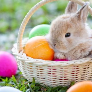 CHE FARE NEL WEEKEND - Buona Pasqua tra pranzi, escursioni e attività per tutta la famiglia