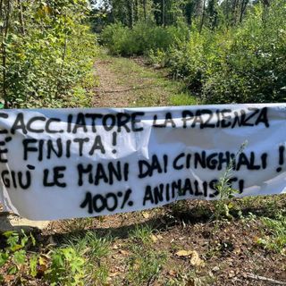 Tradate, nuovo blitz animalista al Parco Pineta contro la caccia al cinghiale