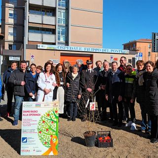 Il melograno simbolo della lotta contro il cancro infantile mette radici all’ospedale Del Ponte