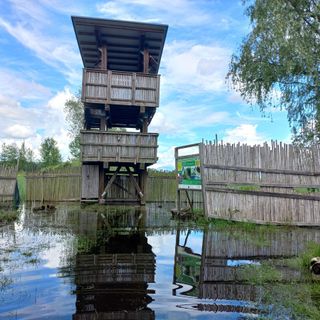 FOTO. La Palude Brabbia allagata, dieci anni dopo ancora uno spettacolo eccezionale