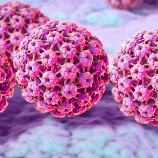 Giornata mondiale contro l'HPV: dal 4 all’8 marzo Ats Insubria e Asst in campo per la prevenzione