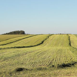 Imprese agricole: un bando per contributi a fondo perduto fino a 5.000 euro