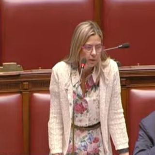 Forze dell'ordine: Gadda, non scaricare su agenti responsabilità governo