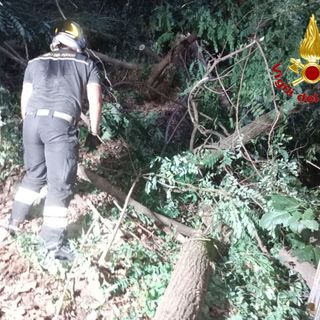 L'intervento dei vigili del fuoco a Maccagno sulla 394