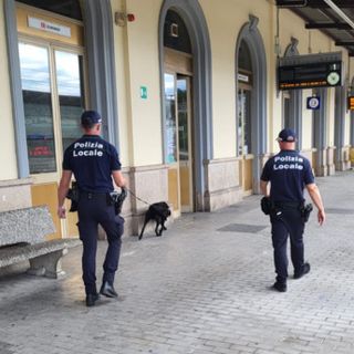 “Zorro” in azione a Luino: l’unità cinofila della Polizia Locale di Gallarate al mercato e in stazione