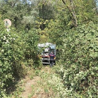 Un'immagine diffusa dal Comune di Turbigo