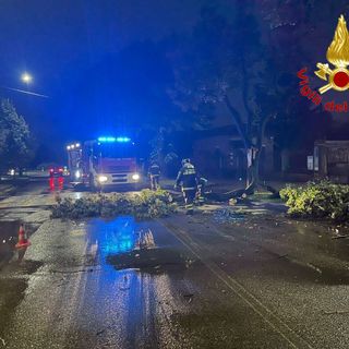 Le immagini di alcuni interventi dei vigili del fuoco il 29 agosto Le immagini di alcuni interventi dei vigili del fuoco il 29 agosto