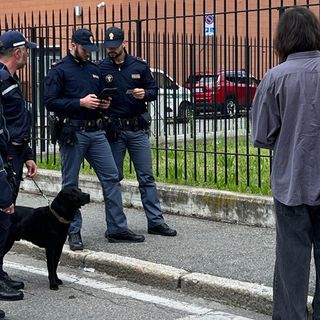 Controlli antidroga nelle scuole di Gallarate: in azione il “cane poliziotto” Zorro