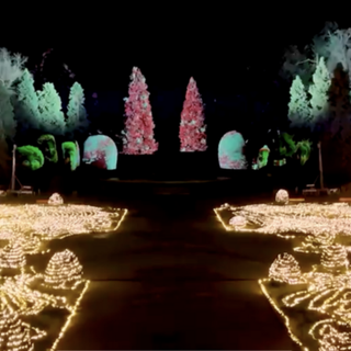 I ladri fanno visita al “Giardino delle Meraviglie”. E il furto fa iniziare in ritardo lo spettacolo