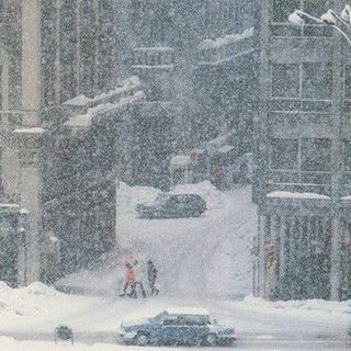 La “nevicata del secolo”, 41 anni dopo: un evento irripetibile