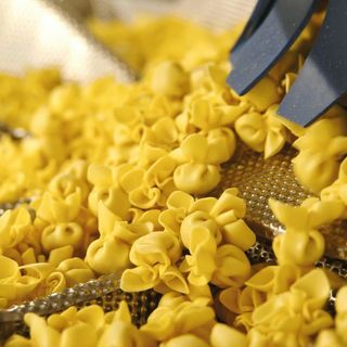 Scoiattolo, orgoglio e gusto varesini a Marca 2026. Quella pasta fresca del territorio leader nel private label in fiera a Bologna