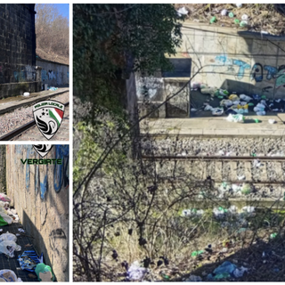 Il materiale rinvenuto dalla polizia locale di Vergiate Il materiale rinvenuto dalla polizia locale di Vergiate