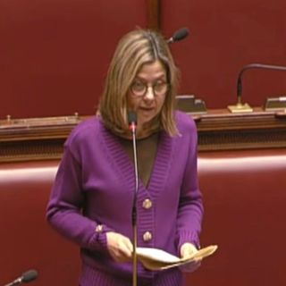 Ambiente, Gadda (IV): «Riciclo eccellenza italiana, ma filiera va sostenuta»