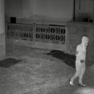 Le immagini riprese dalla videosorveglianza dell'abitazione e pubblicate da ilSaronno.it