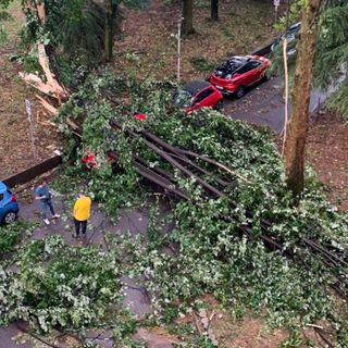 FOTO. Il maltempo colpisce anche l'ospedale di Tradate: allagamenti, alberi caduti e ripercussioni sull'attività sanitaria