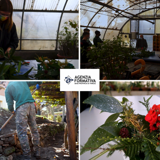 «Un corso pratico, per inserirsi subito nel mondo del lavoro» come Operatore agricolo, coltivazioni arboree, erbacee, ortofloricole