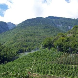 Foto d'archivio