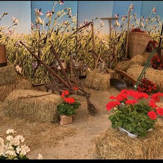 &quot;Giugn e Lui, a tera l'à bui&quot; - Giugno e Luglio, la terra bolle