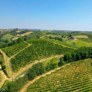 L'azienda astigiana Ferraris Agricola presenta Opera Prima Riserva 2017