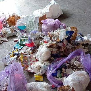 &quot;a dila tuta integra&quot;&quot; - devo dirla tutta