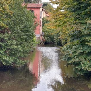 FOTO. Resta stabile la qualità delle acque del fiume Bardello ma spopolano le piante esotiche invasive