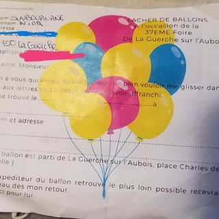 Il messaggio legato al palloncino atterrato nel giardino di casa a Besozzo di Emanuela Gervasini