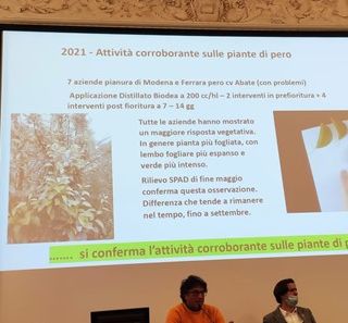 BioDea - risposte scientifiche nel workshop di venerdì 25 febbraio