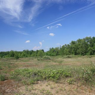 Masterplan: Alleanza Verdi Sinistra - Europa Verde e Sinistra Italiana della provincia di Varese sostengono la Rete Comitati Malpensa nella richiesta al presidente Mattarella