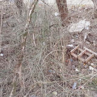 FOTO. Rifiuti abbandonati nell'area boschiva della zona industriale di Brunello