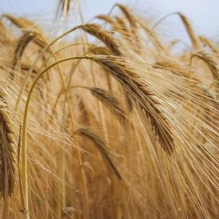 Aumento di quasi il 30% per le materie prime. «È crisi per imprese e famiglie, invertire la rotta»