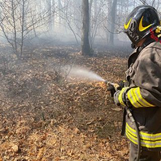 VIDEO E FOTO. Sotto controllo l'incendio al parco Campo dei Fiori