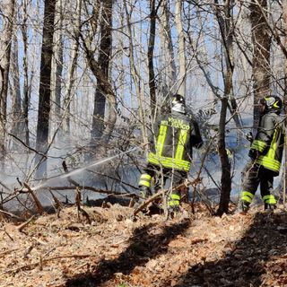 VIDEO E FOTO. Continua la battaglia contro l'incendio al parco Campo dei Fiori
