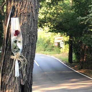 La rosa posata su un albero lungo via Varese nel punto in cui Daniele Morello è stato ucciso