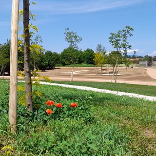 Uno scorcio dell'enorme parco di città