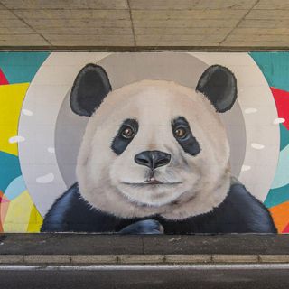 Il murales preso di mira dai vandali con un lancio di uova a Cavaria con Premezzo (foto dal Comune)