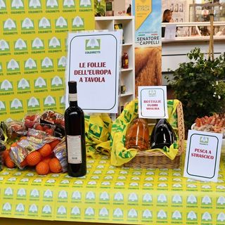 Le &quot;follie&quot; nel piatto della Ue, dalle larve ai grilli al semaforo. La denuncia di Coldiretti: «Così si escludono dalla dieta gli alimenti sani»