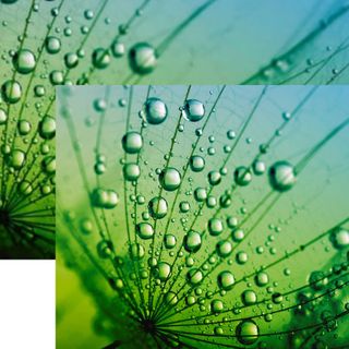 Come rendere trasparente lo sfondo di un logo