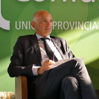 «Un distretto del legno tra Lombardia, Piemonte e Liguria per generare nuova ricchezza e arginare la tempesta perfetta della crisi»