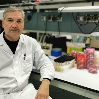 Fabrizio Maggi