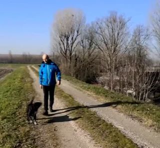 Un asteroide celebra il fiuto di Pimpa, la cagnolina &quot;spaziale&quot; passata da Varese