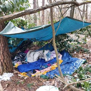 Spaccio al Parco Pineta, nell'ultimo mese sempre più controlli: numerosi bivacchi smantellati e 250 persone identificate