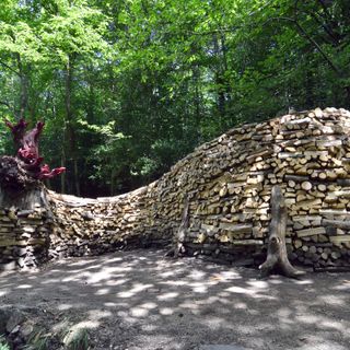C'è un drago di 15 metri nei boschi di Boarezzo. L'ultima folle impresa dei &quot;maghi del legno&quot; della Valganna