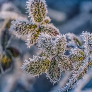 Temperature in calo, il Centro Geofisico Prealpino: «Possibile nevischio nella notte. Gelate all'alba»