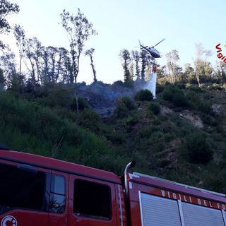 FOTO. Ancora fiamme nei boschi del Varesotto: incendio a Cittiglio, in volo anche l'elicottero