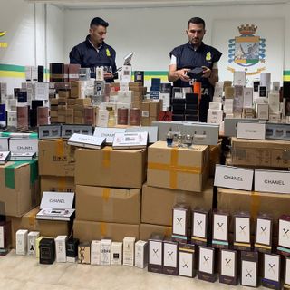 VIDEO. Vestiti, medicinali e profumi contraffatti: maxi sequestro della Guardia di Finanza di Varese. Denunciate sei persone
