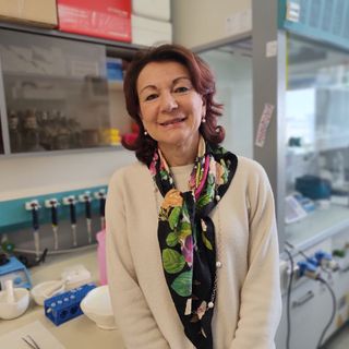 Flavia Marinelli