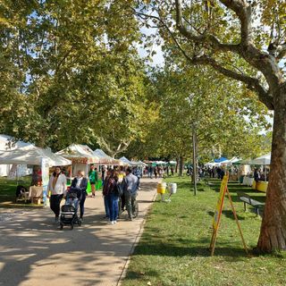 CHE FARE NEL WEEKEND. La Festa della Zucca, AgriMornago, la Giornata della Meraviglia e tanti altri appuntamenti dei prossimi tre giorni
