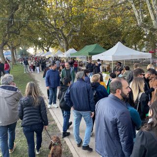 Un momento dell'edizione 2021 della Festa della Zucca di Gavirate